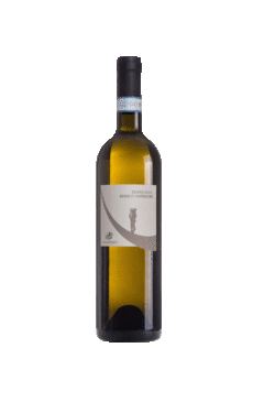 cenatiempo-ischia-bianco-superiore-doc-2019