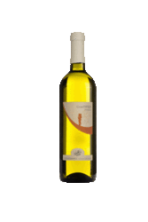 cenatiempo-falanghina-gran-tifeo-bianco-igt-2020