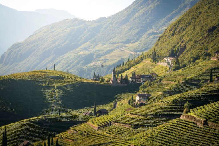 Weine Südtirol, stufenförmige Weinbau-Terrassen an steilen Hängen